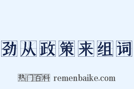 劲从政策来组词是什么意思的图片
